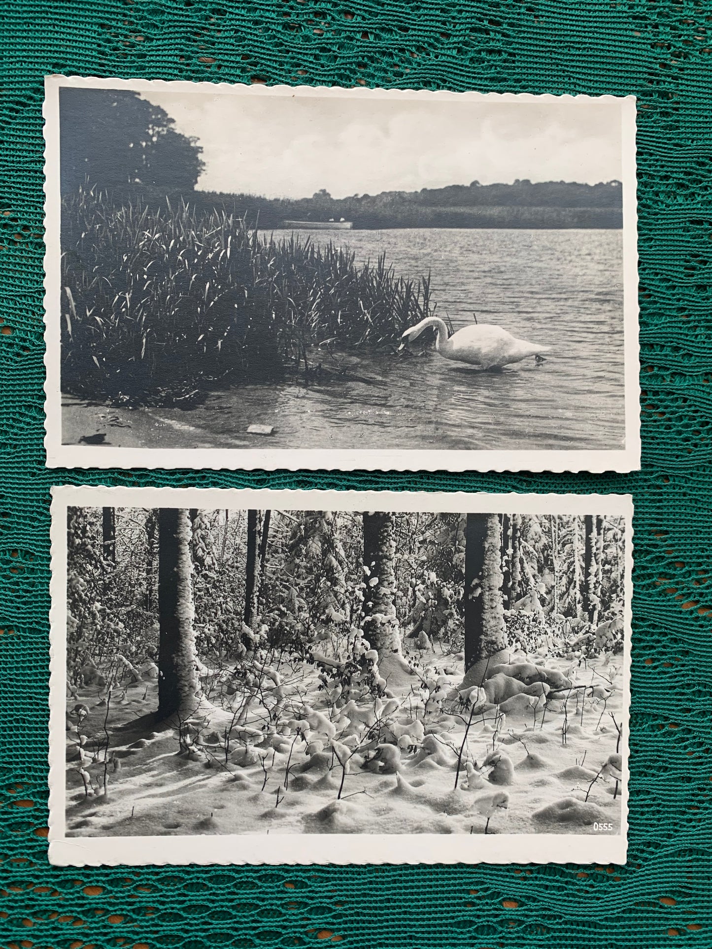 Old German postcards - Antique postcards - Set of 7 Nature view cards - early 1900s - Unused