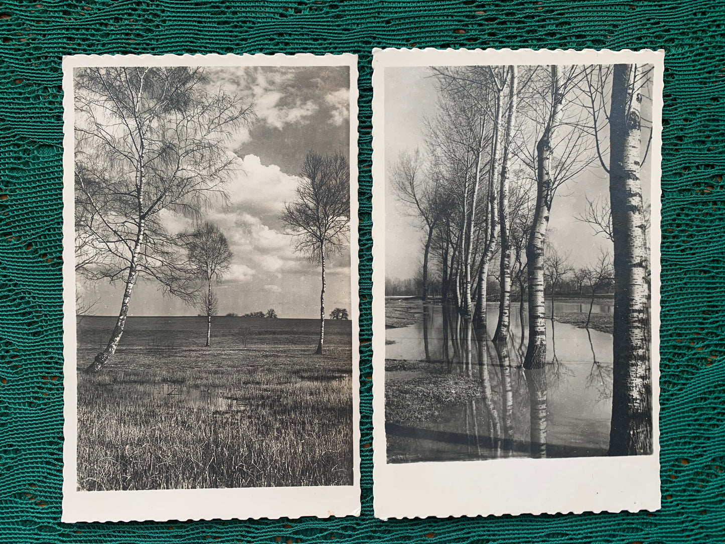 Old German postcards - Antique postcards - Set of 7 Nature view cards - early 1900s - Unused