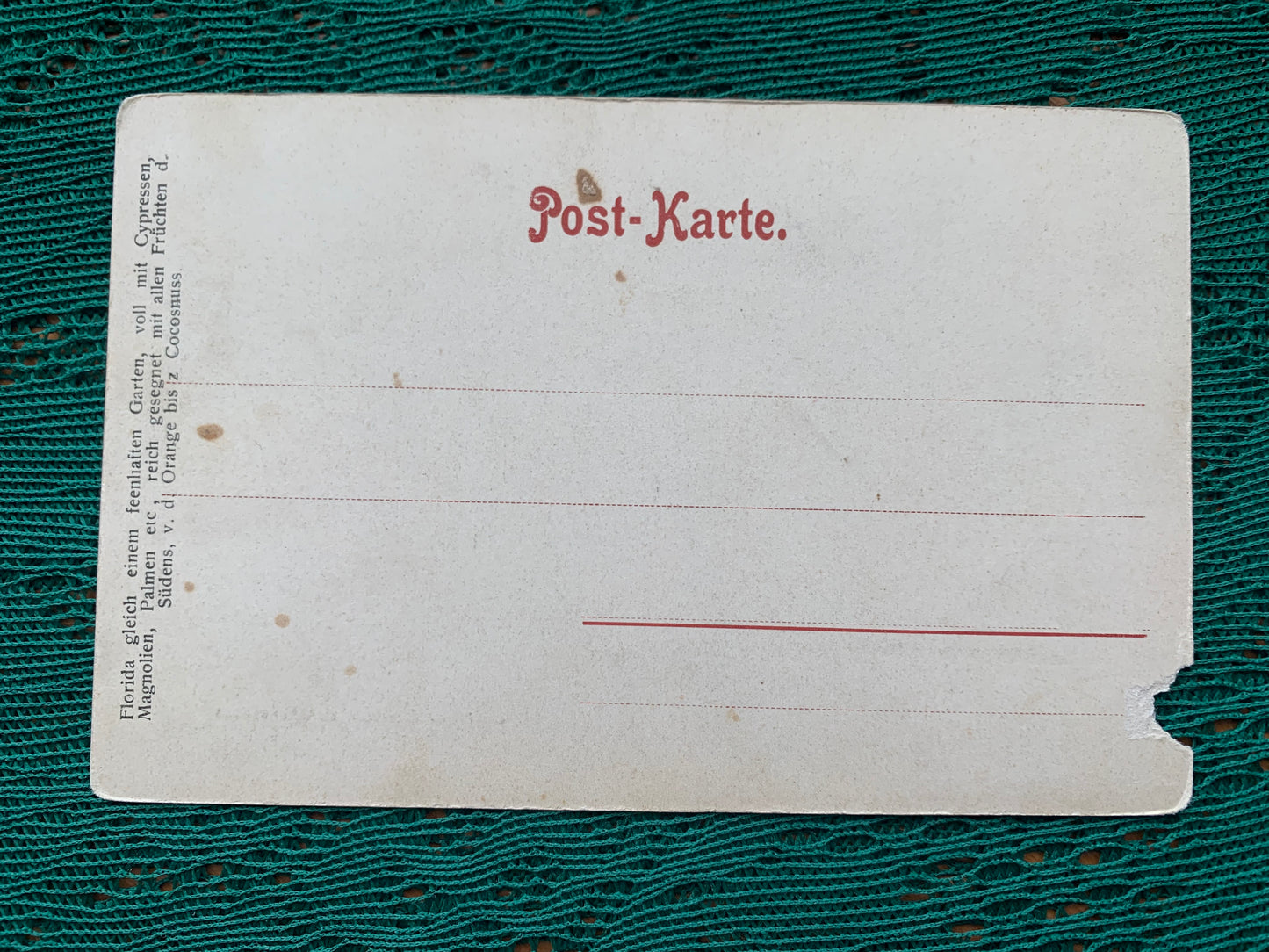 Old postcard - Antique postcard - Florida: Home of Coconuts - early 1900s - Unused