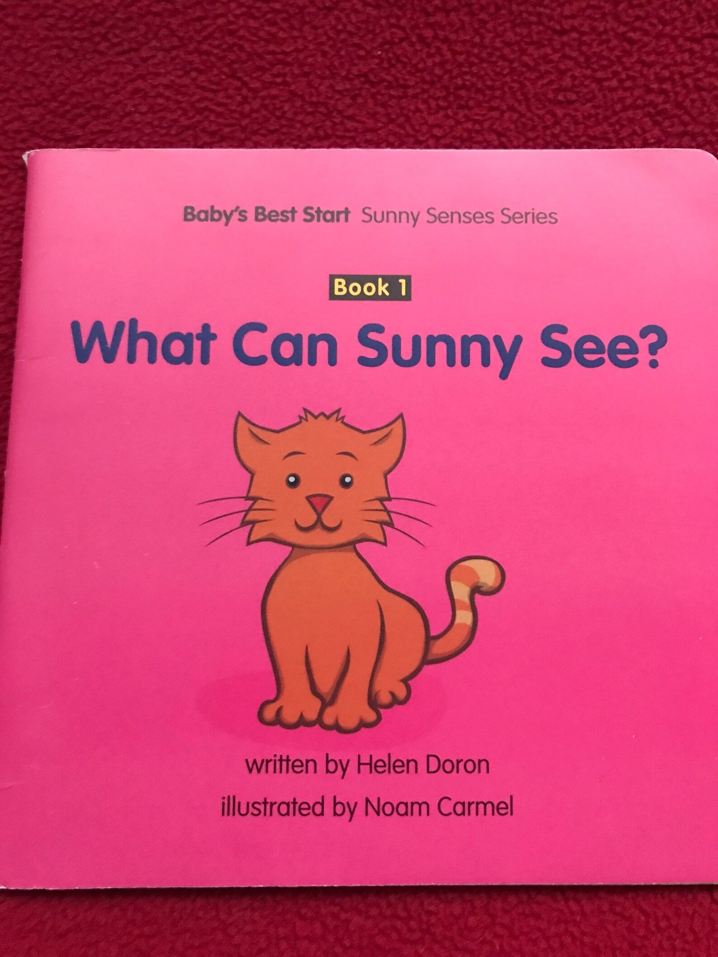 Set of 4 Vintage Helen Doron CAT SUNNY Children's Books for small Kids. Picture Books, Primer Books, Educational Books
