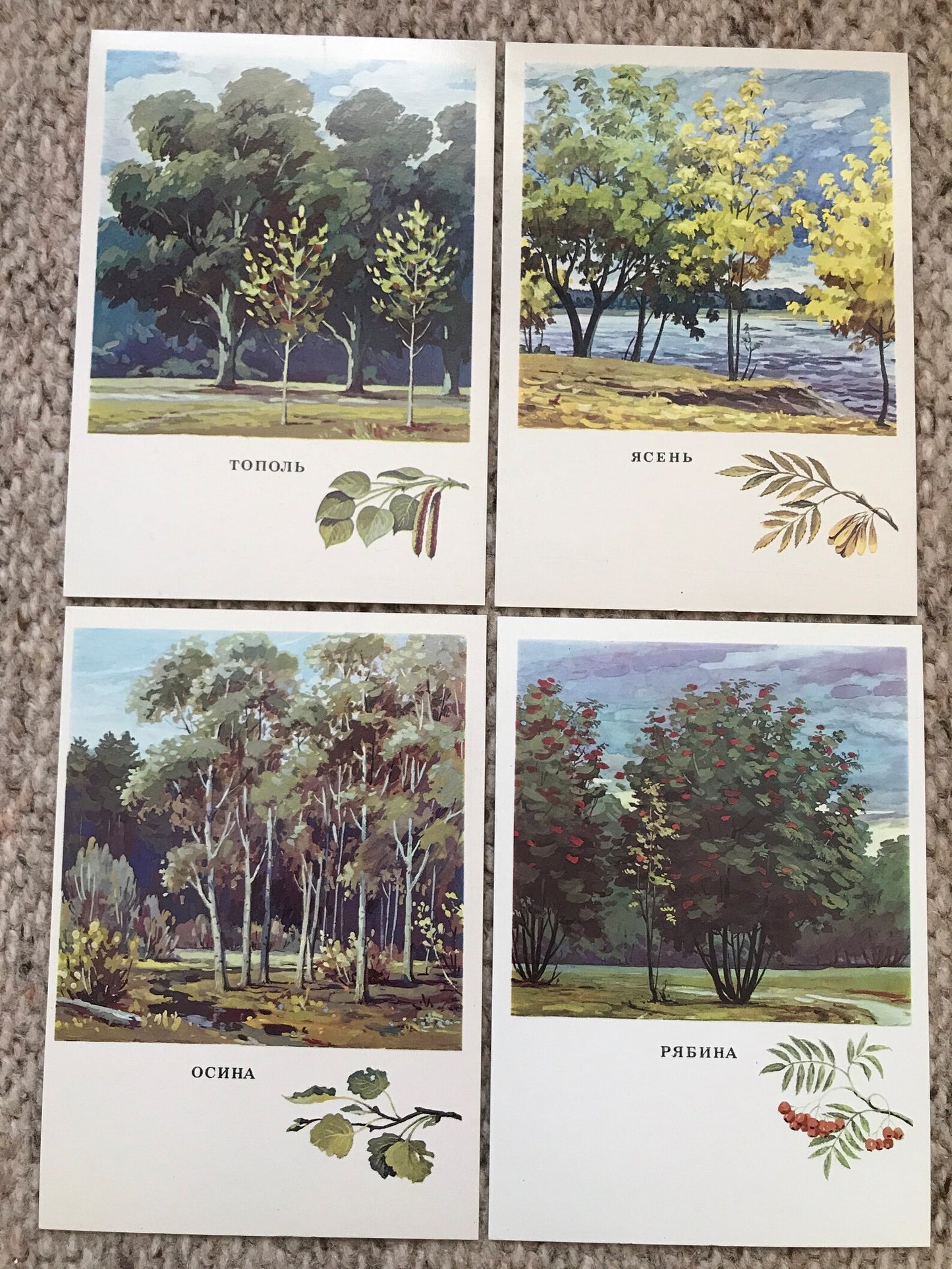 Set of 16 Vintage USSR collectible cards - "Russian Forest" - Printed in USSR - 1979 - unused