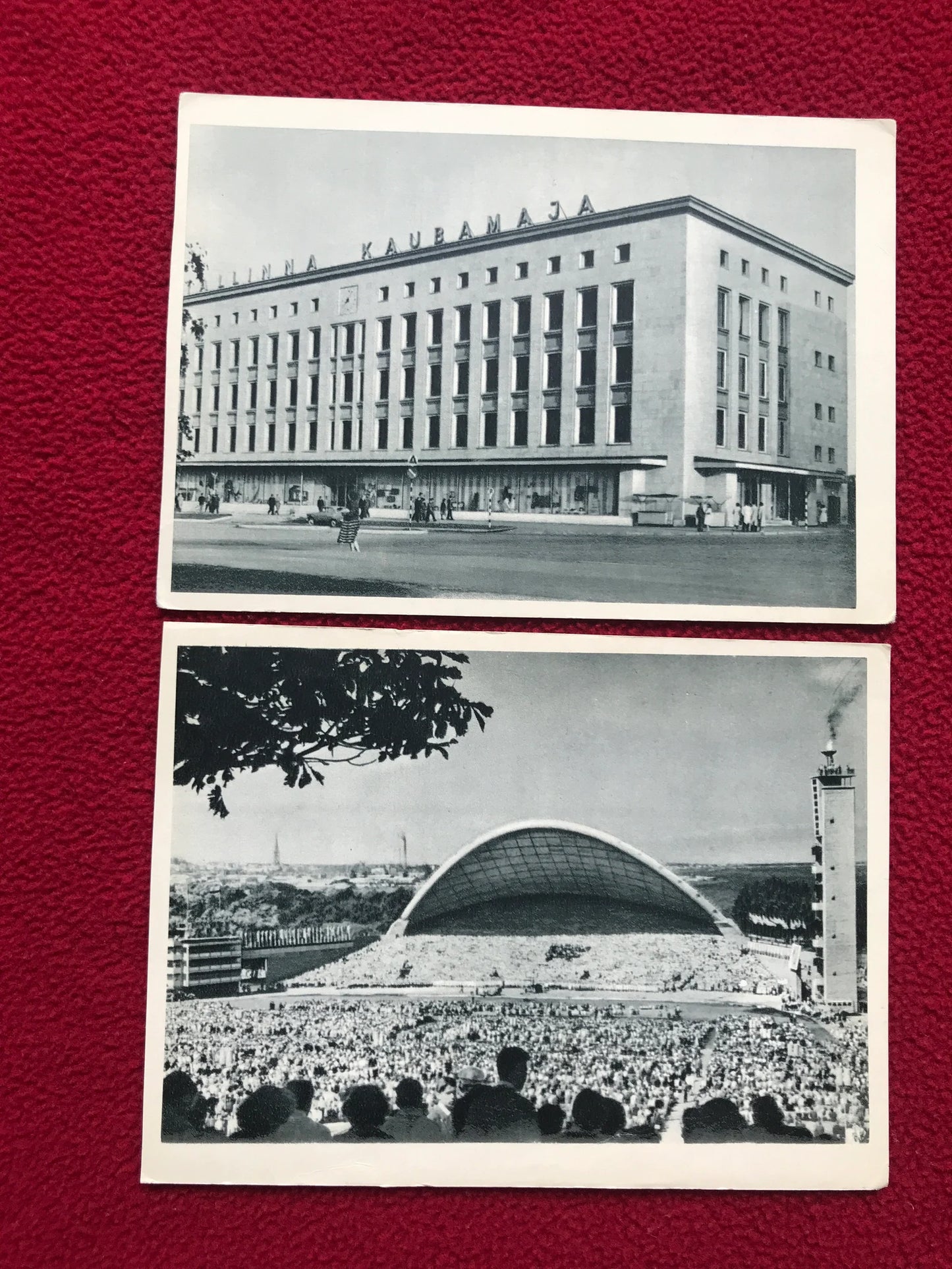 Vintage set of 7 black and white postcards - Soviet Estonian postcards - Tallinn view cards - Old prints - Collectible - 1960s - USSR - unused