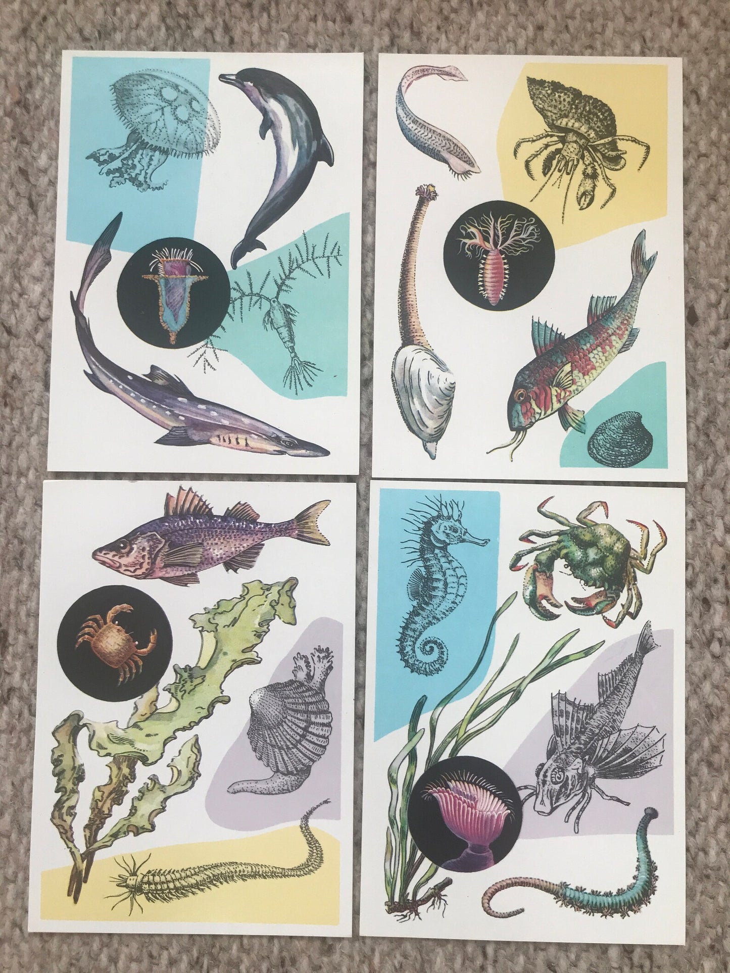 Set of 16 Vintage USSR collectible cards - "By the Sea" - 1979 - unused