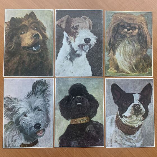 Set of 6 Dog postcards - Printed in Poland - 1960s - unused