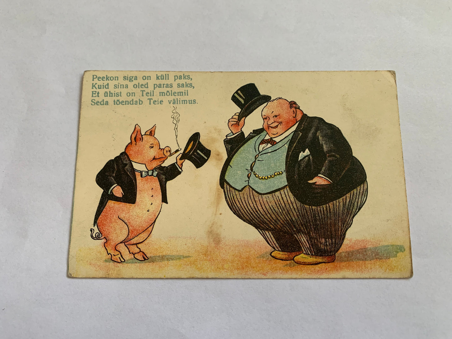 Old postcard - Antique postcard - Humour Post card - Carte Postale - Early 1900's - Used