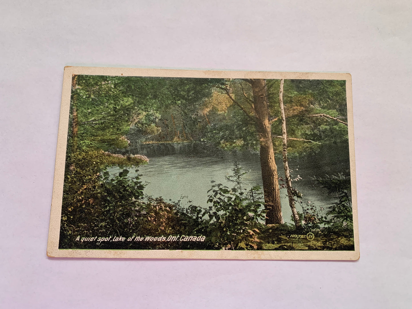 Old postcard - Antique postcard - Lake Woods - Ontario - Canada - Carte Postale - early 1900s - Unused