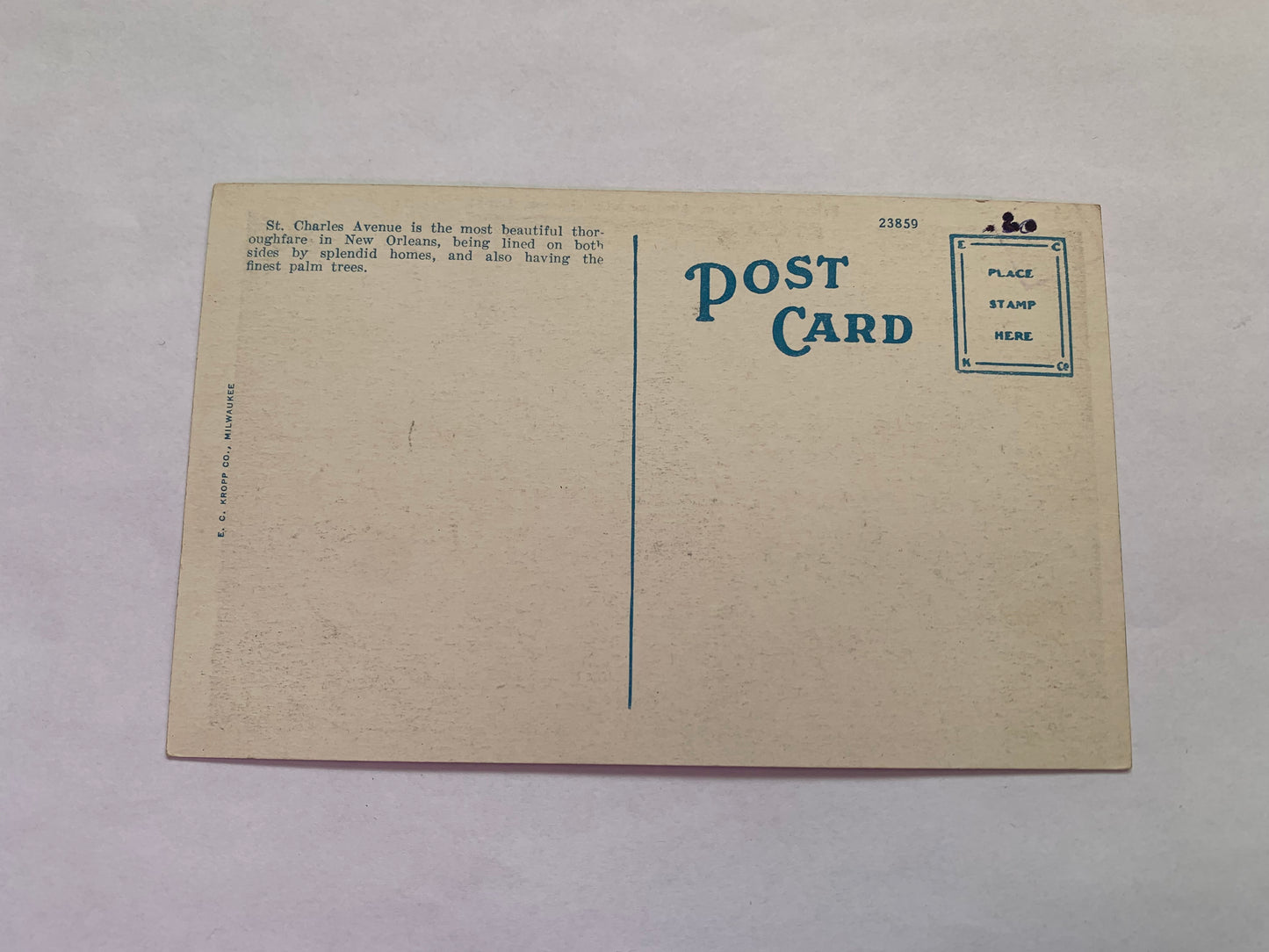 Old postcard - Antique postcard - Palms - St Charles Avenue - New Orleans - Louisiana - USA - Carte Postale - early 1900s - Unused