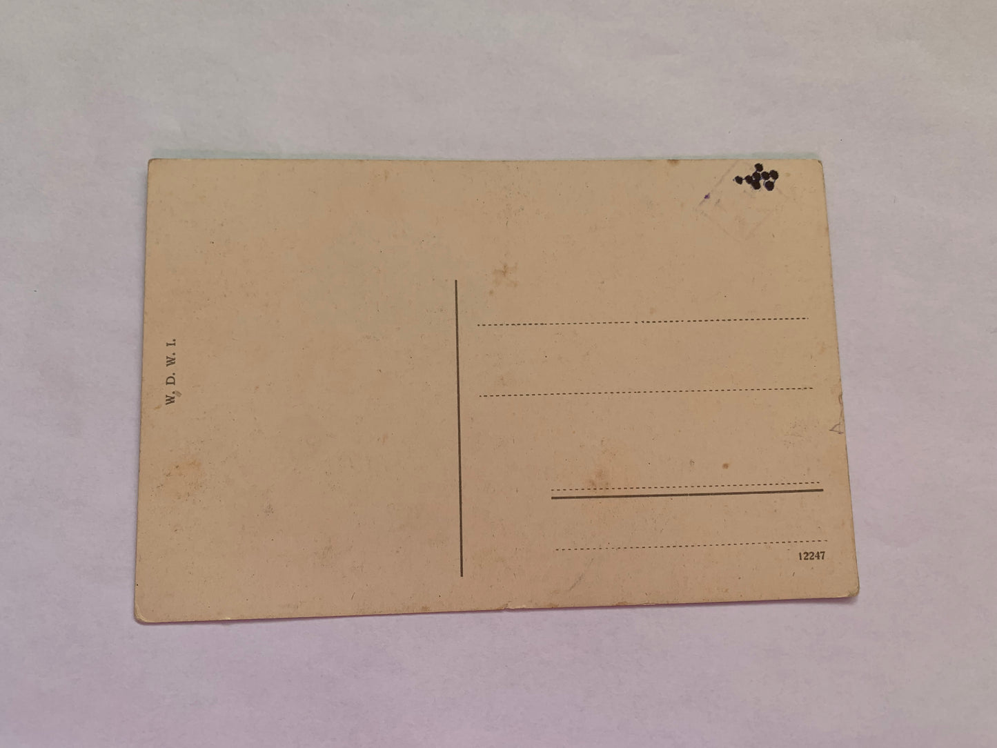 Old postcard - Antique postcard - Vienna - Austria - Schönbrunn - Roman Ruins Avenue - Carte Postale - early 1900s - Unused