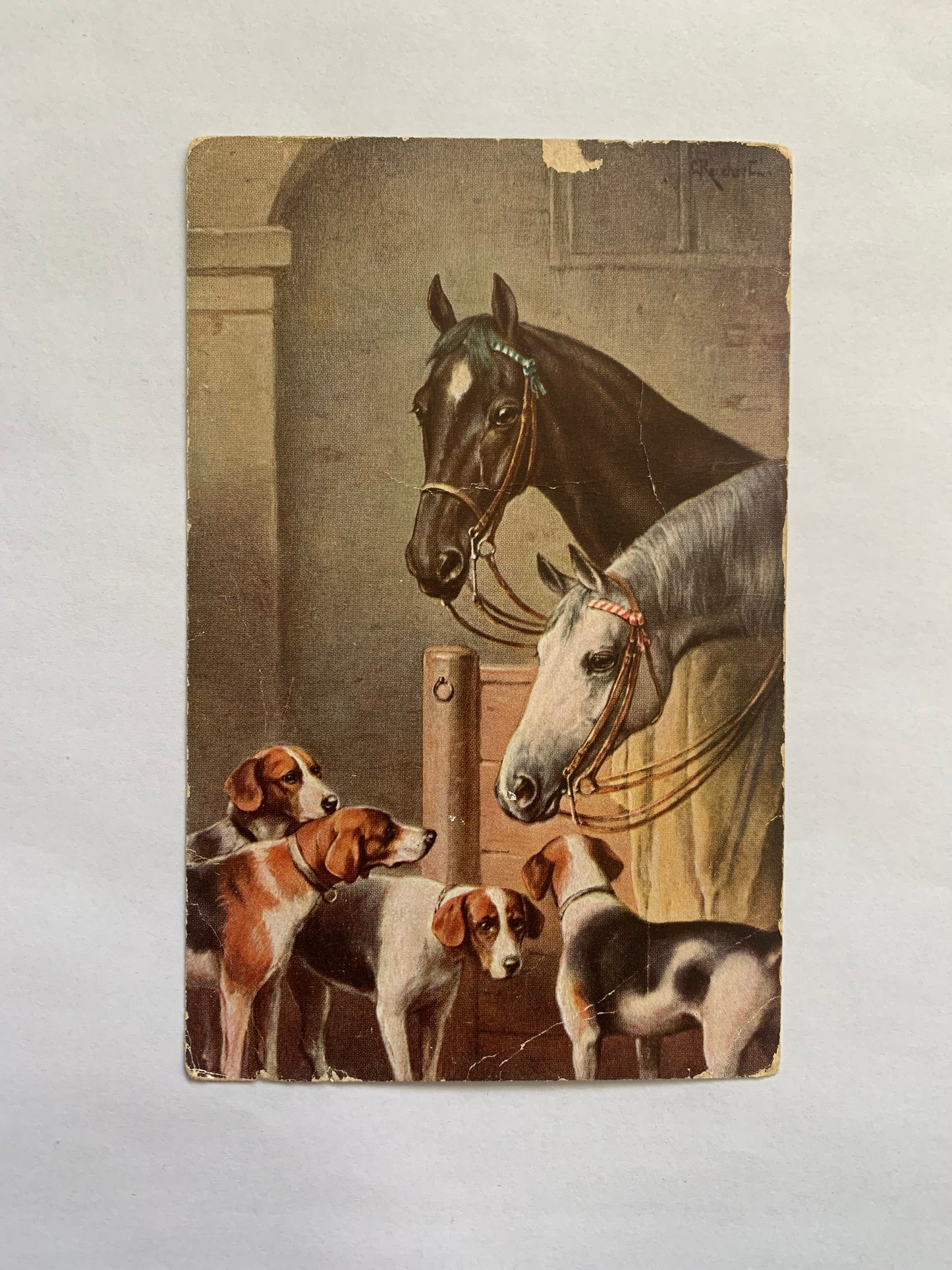 Old postcard - Antique postcard - Animal Post card - Horses and Dogs - Carte Postale - Early 1900's - Unused