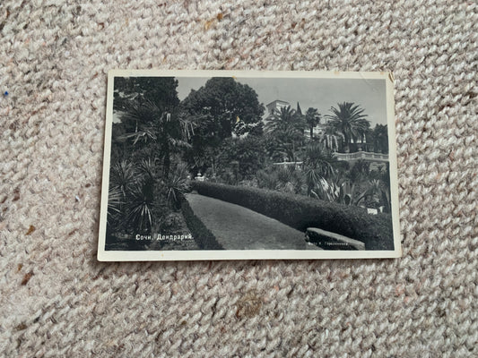 Soviet-time postcard for collecting - USSR view card - Sochi - Arboretum - 1951 - postally unused