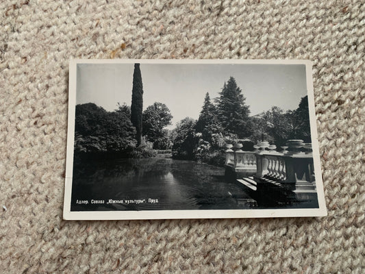 Soviet-time postcard for collecting - USSR view card - Adler - State Farm Southern Cultures - Pond - 1958 - postally unused