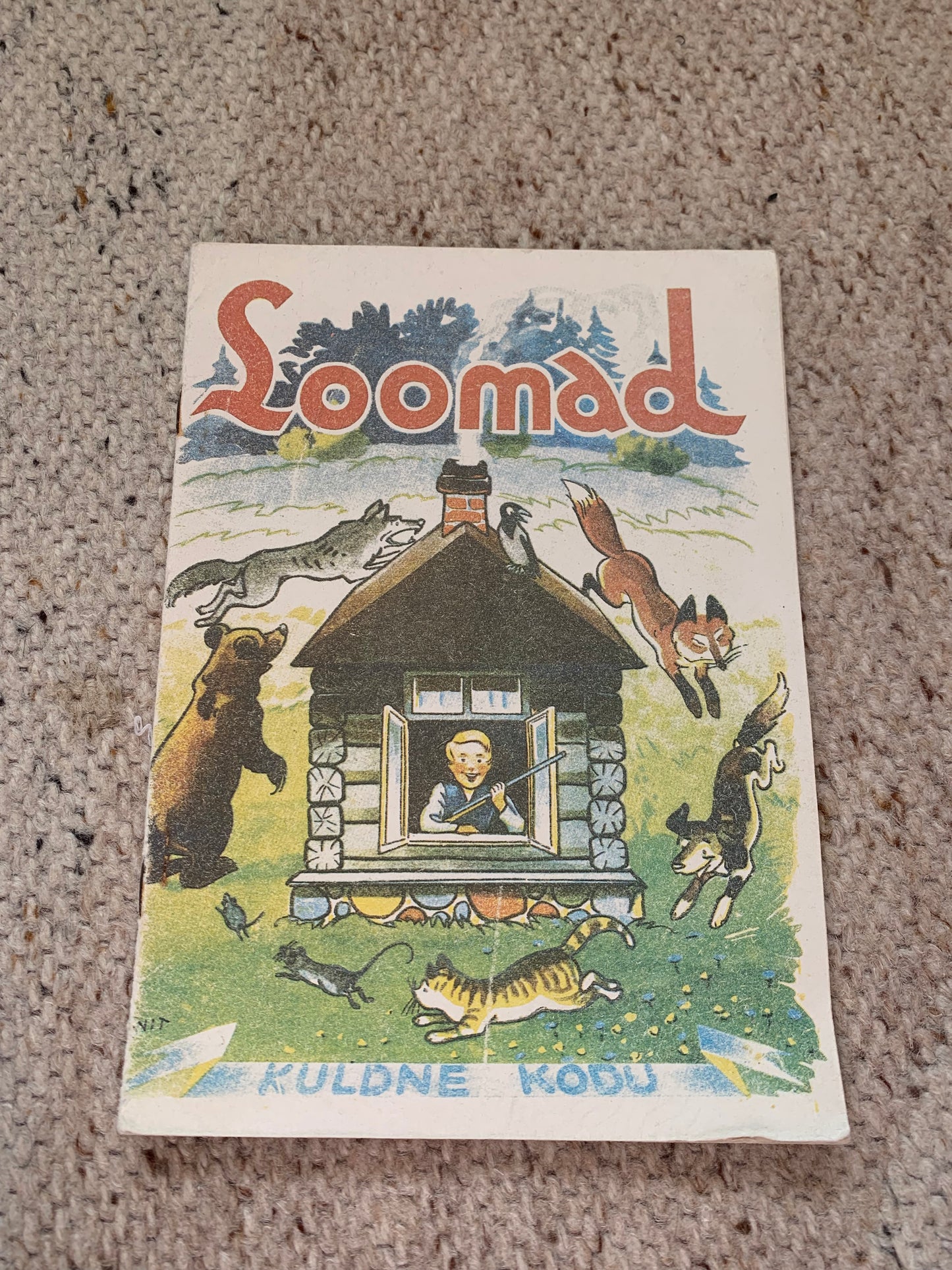 Vintage Estonian Children's Book - ANIMALS - LOOMAD - Gorgeous illustrations - 1992