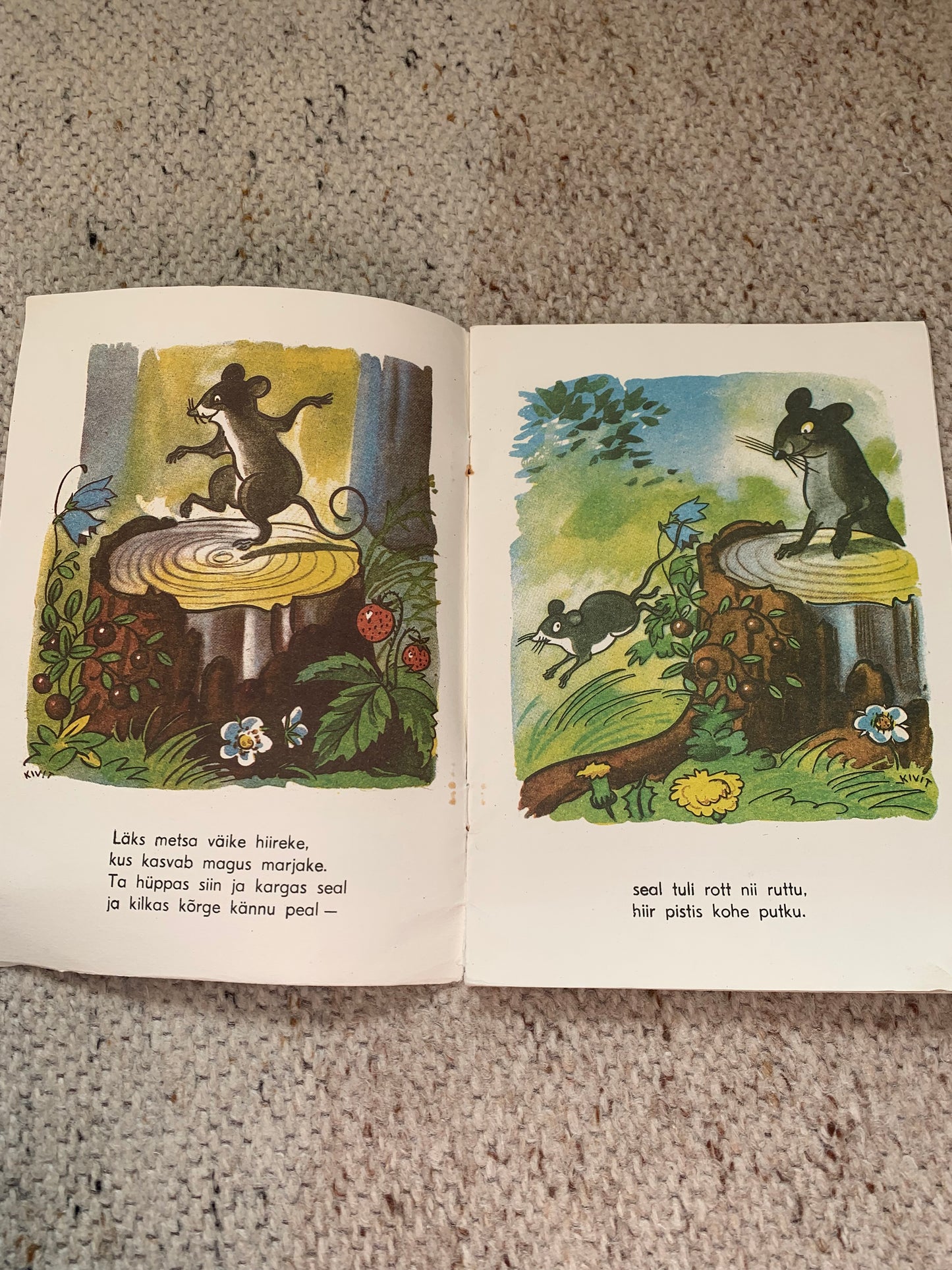 Vintage Estonian Children's Book - ANIMALS - LOOMAD - Gorgeous illustrations - 1992