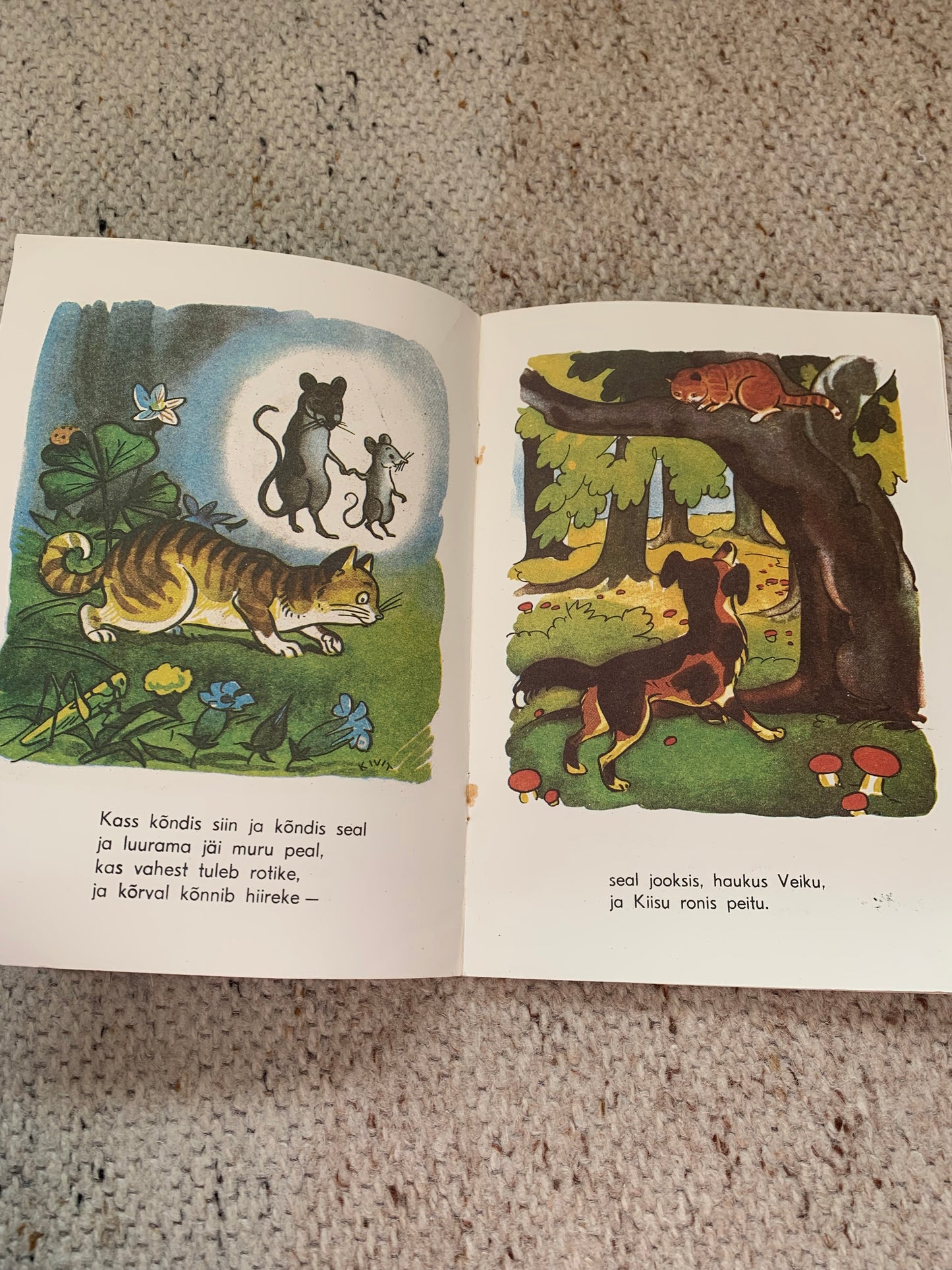 Vintage Estonian Children's Book - ANIMALS - LOOMAD - Gorgeous illustrations - 1992