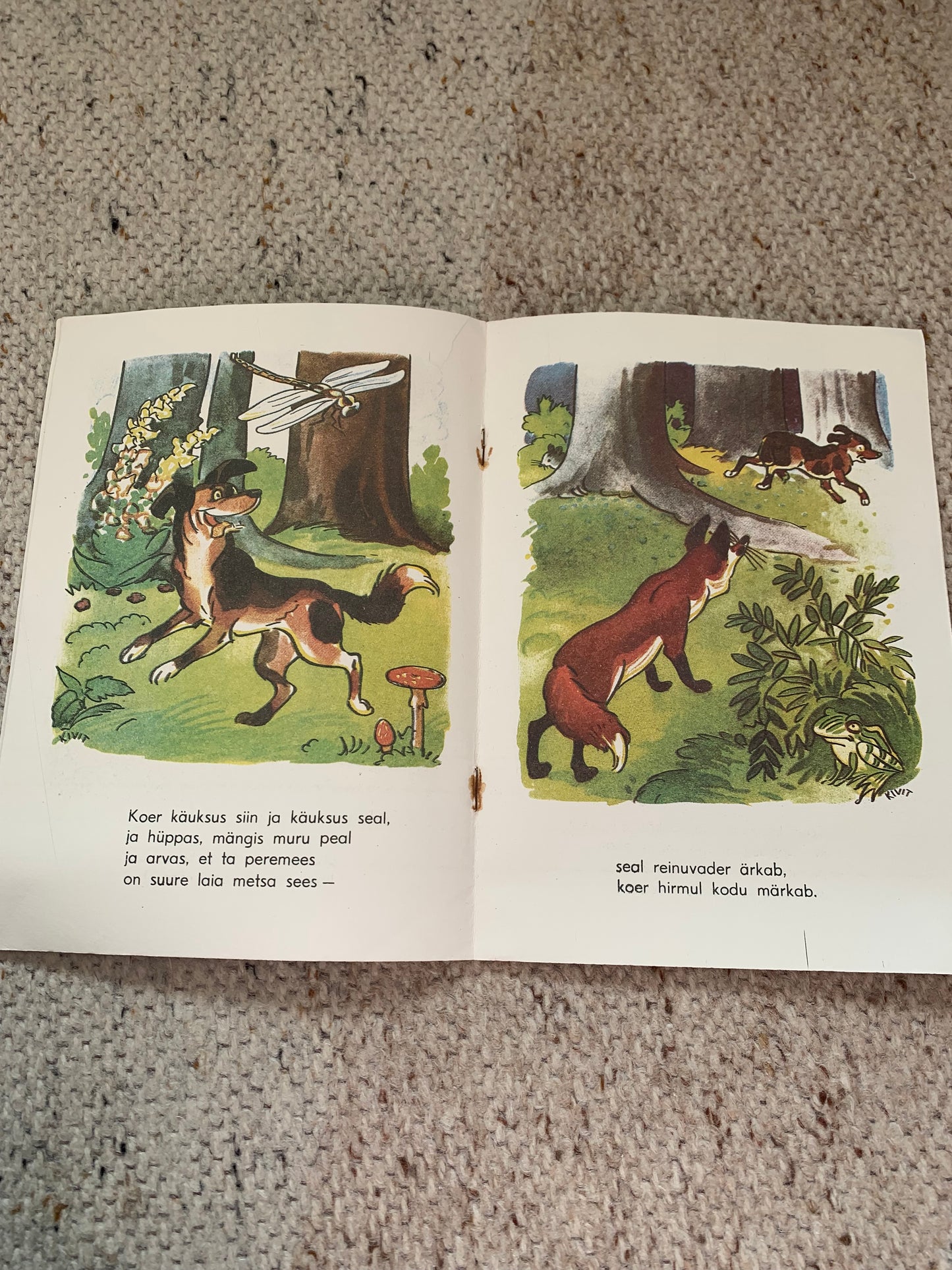 Vintage Estonian Children's Book - ANIMALS - LOOMAD - Gorgeous illustrations - 1992