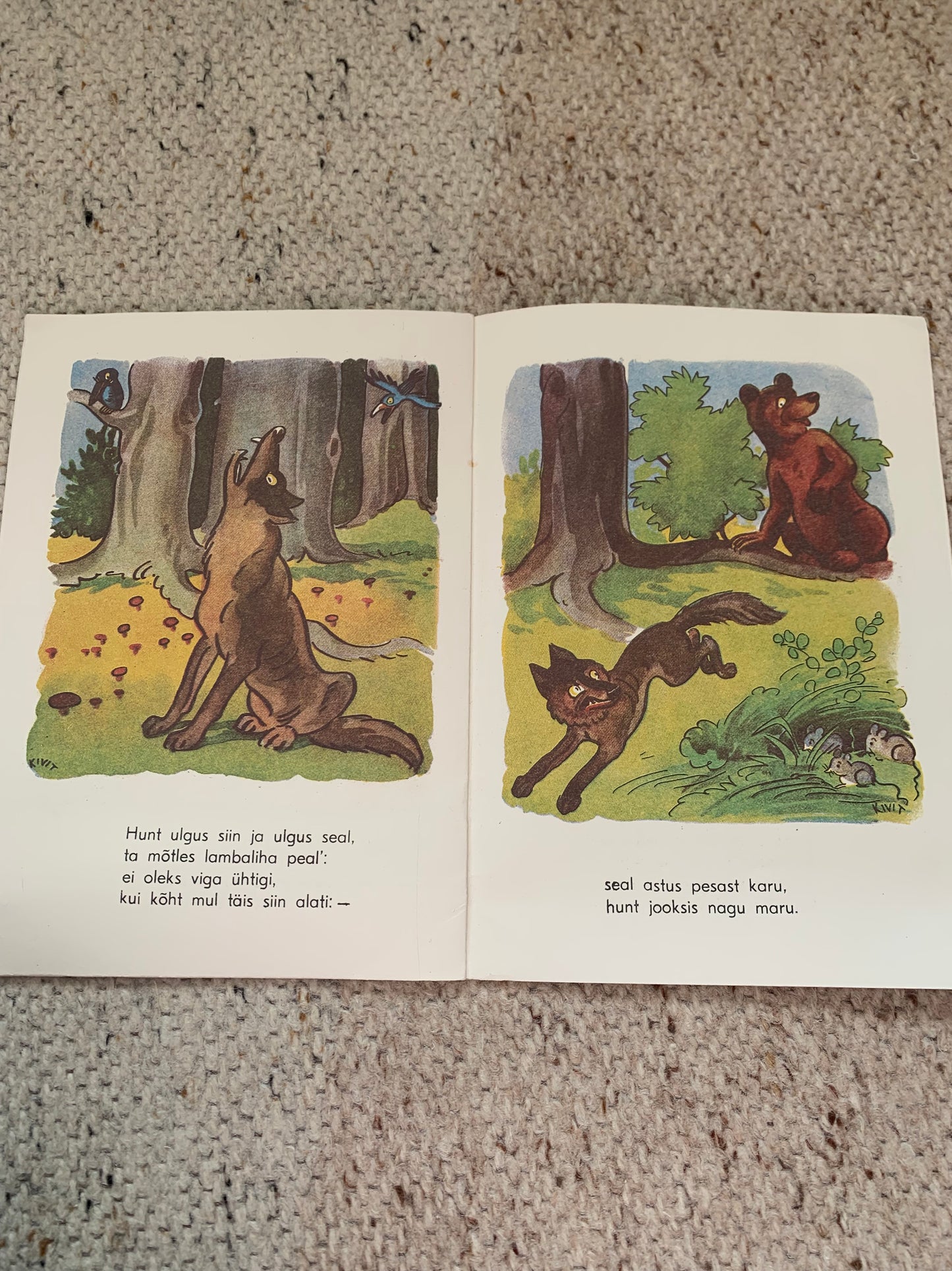 Vintage Estonian Children's Book - ANIMALS - LOOMAD - Gorgeous illustrations - 1992
