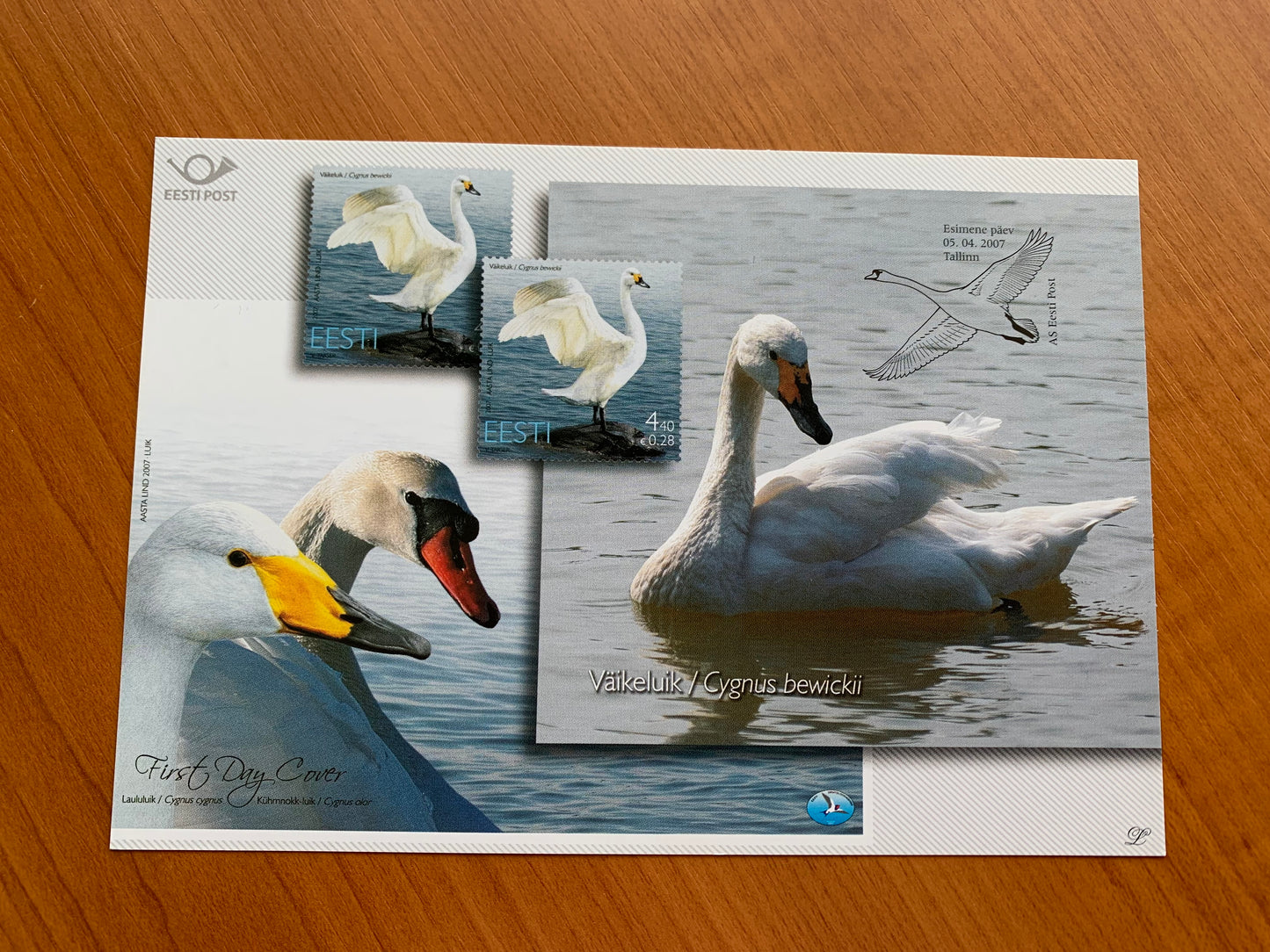 Estonian postcard - Postal stationery - BIRD OF THE YEAR - THE SWAN - Philately info card - 2007