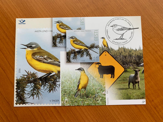 Estonian postcard - Postal stationery - BIRD OF THE YEAR - YELLOW WAGTAIL - Philately info card - 2006