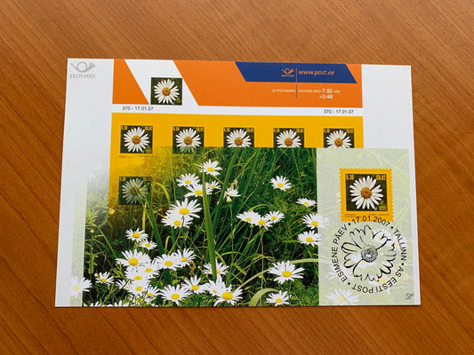 Estonian postcard - Postal stationery - OXEYE DAISY - Philately info card - 2007