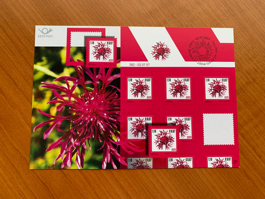 Estonian postcard - Postal stationery - DEFINITIVE STAMP - THE WIG KNAPWEED - Philately info card - 2007