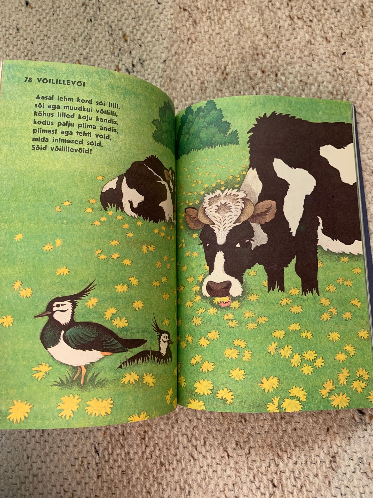 Vintage Estonian Children's Book - KILUL ON VILU - Gorgeous illustrations - 1987
