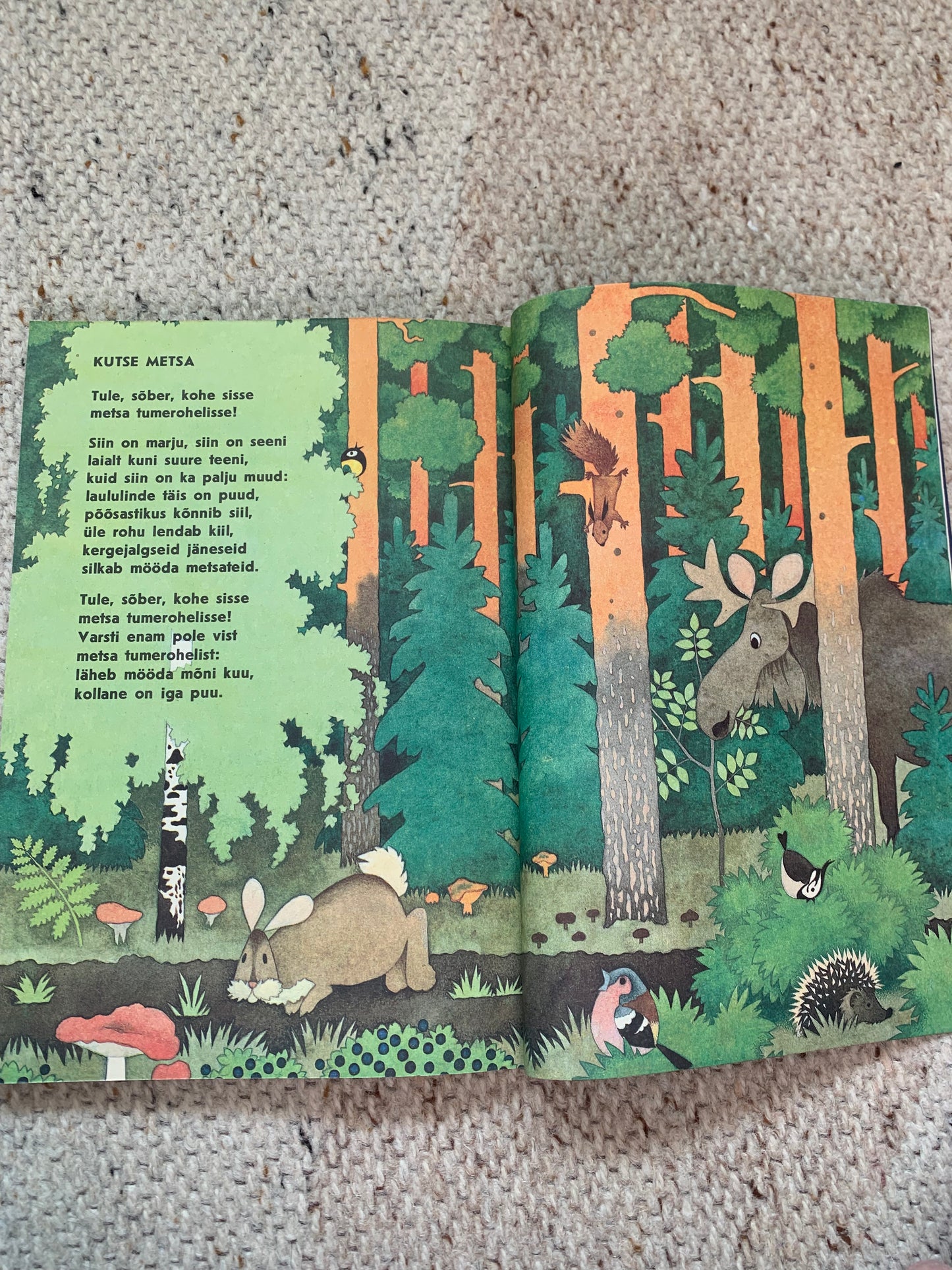 Vintage Estonian Children's Book - KILUL ON VILU - Gorgeous illustrations - 1987
