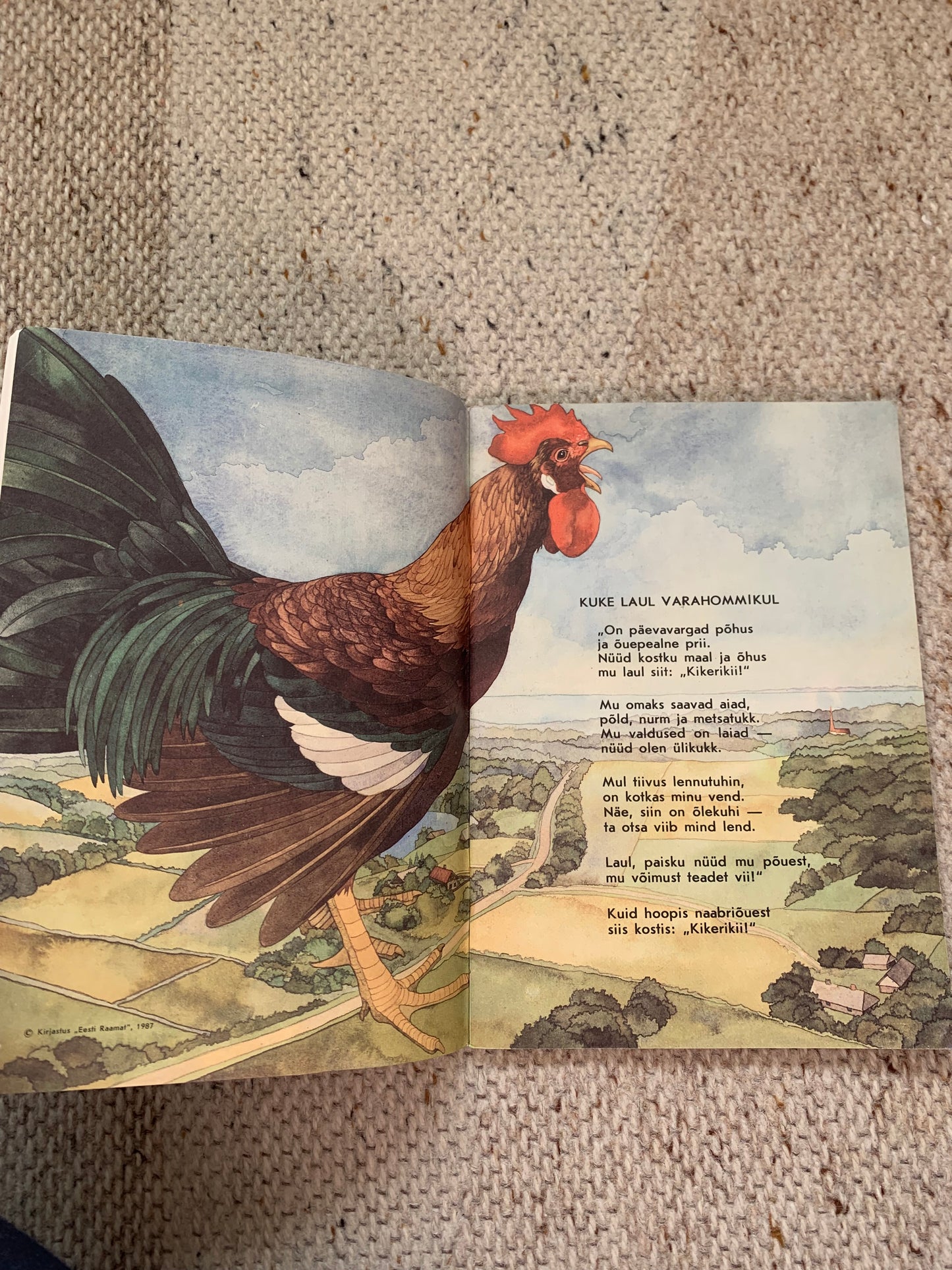Vintage Estonian Children's Book - SONGS BY ANIMALS - LOOMALAULUD - Gorgeous illustrations - 1987