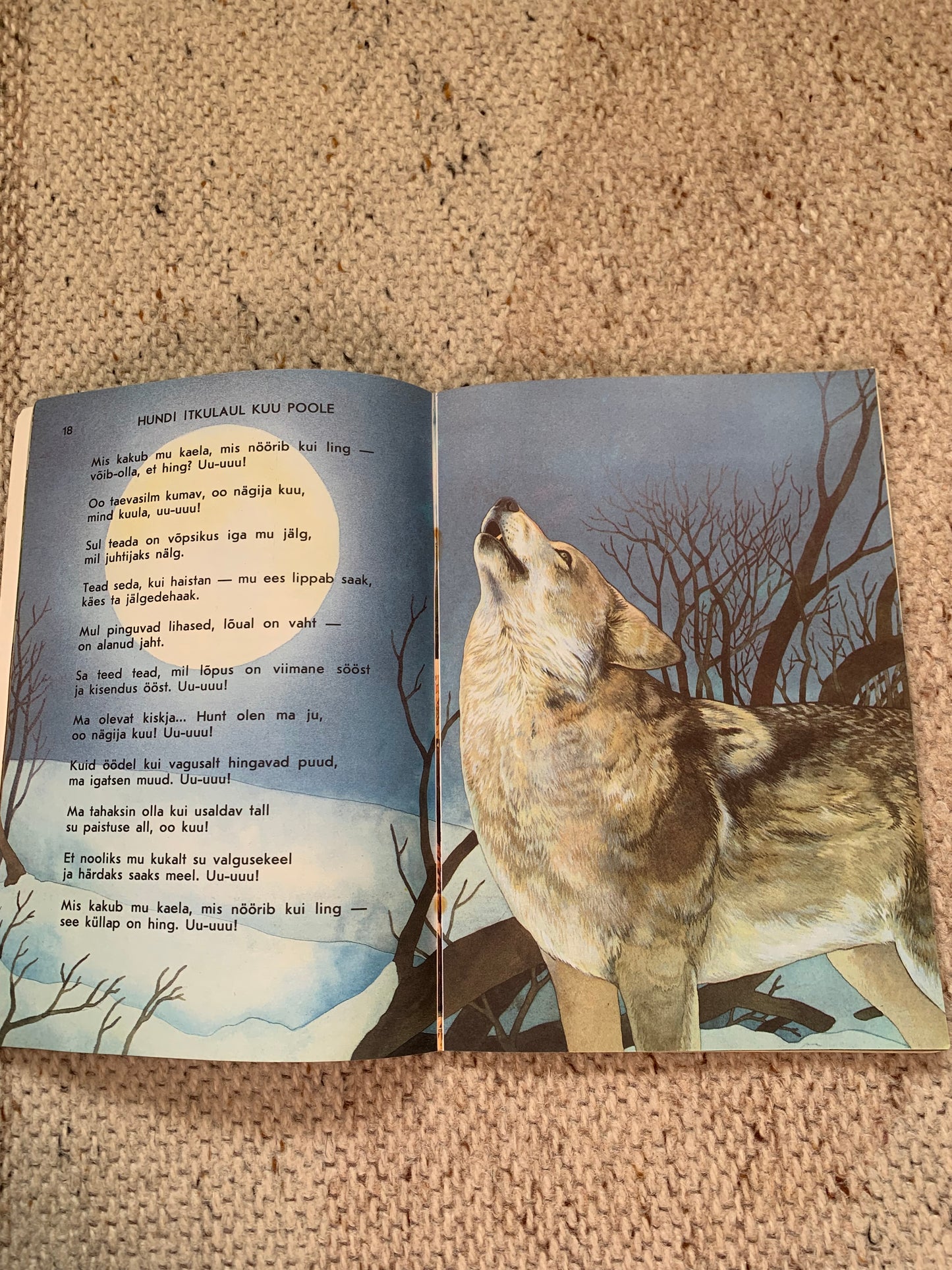 Vintage Estonian Children's Book - SONGS BY ANIMALS - LOOMALAULUD - Gorgeous illustrations - 1987