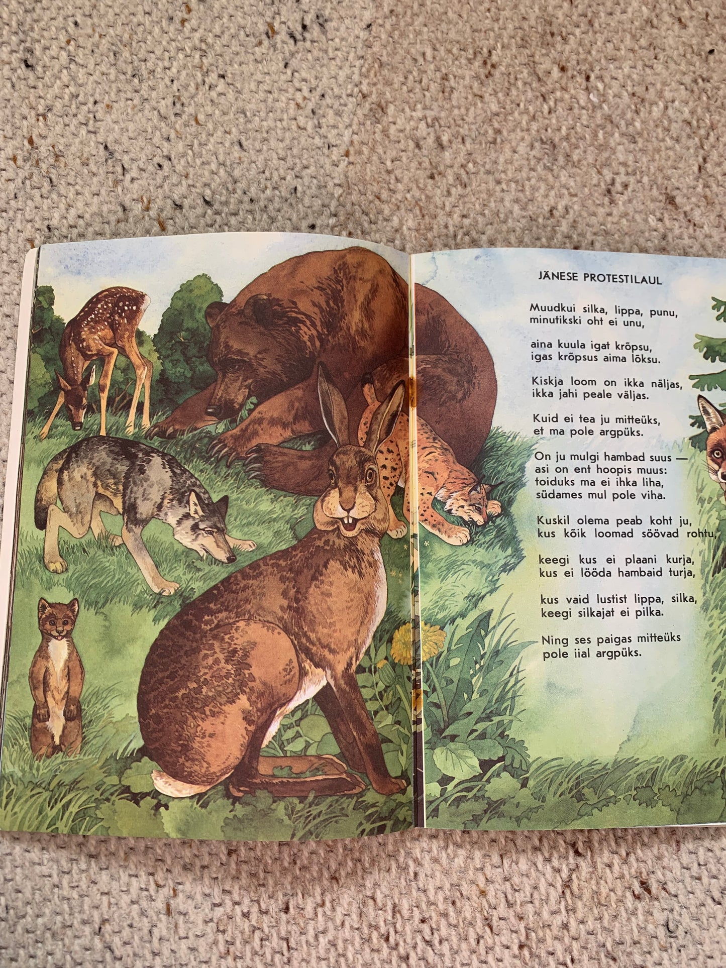 Vintage Estonian Children's Book - SONGS BY ANIMALS - LOOMALAULUD - Gorgeous illustrations - 1987