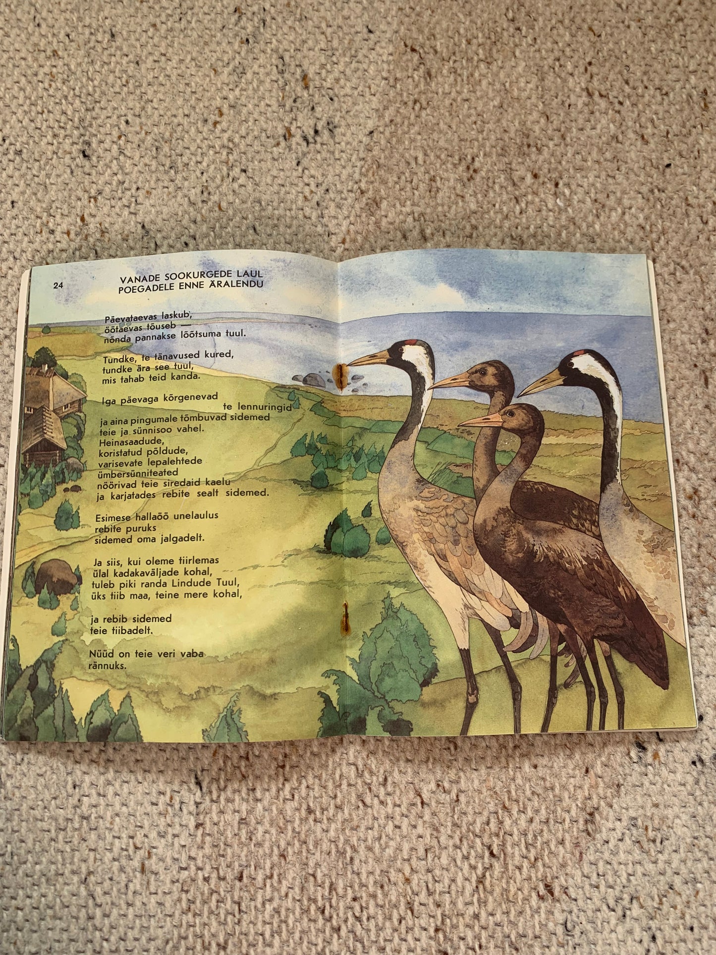 Vintage Estonian Children's Book - SONGS BY ANIMALS - LOOMALAULUD - Gorgeous illustrations - 1987
