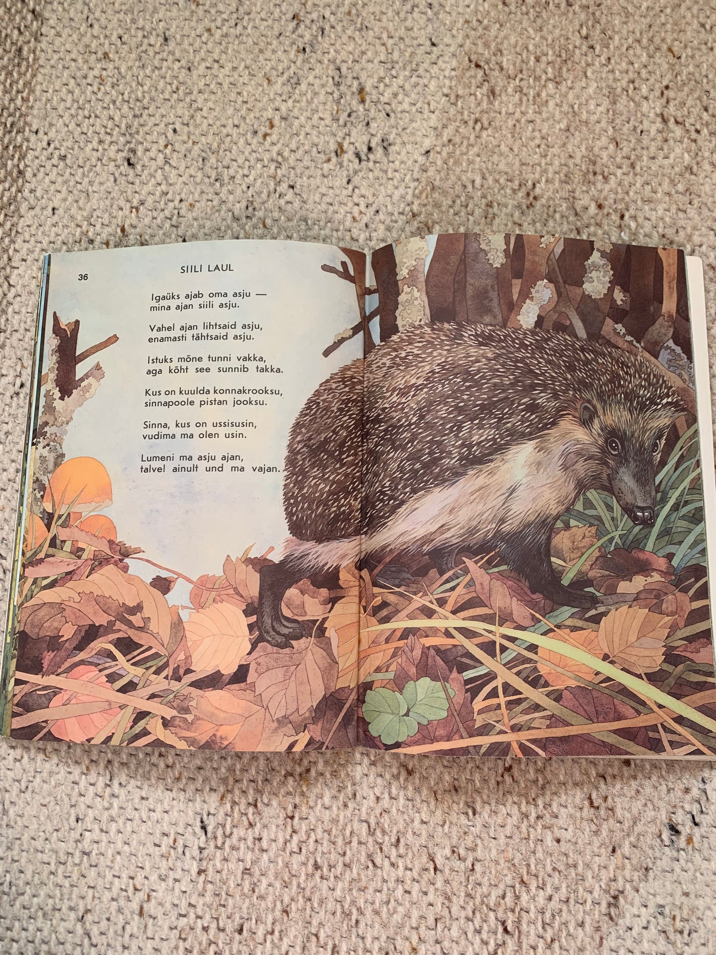 Vintage Estonian Children's Book - SONGS BY ANIMALS - LOOMALAULUD - Gorgeous illustrations - 1987