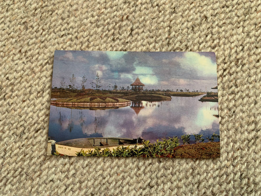 Old postcard - Antique postcard - Zapata Swamp - Las Villas - Cuba - Carte Postale - Early 1900's - Unused