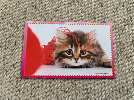 CAT postcard - Collectible card - 2013 - unused