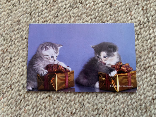 CAT postcard - Collectible card - 2013 - unused
