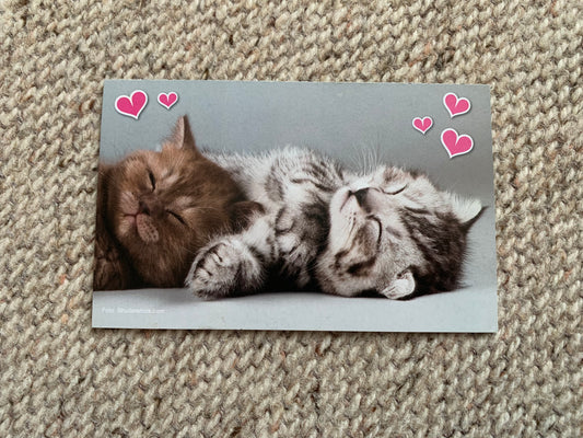 CAT postcard - Collectible card - 2013 - unused