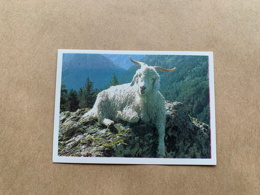 Soviet-time pocket calendar for the year 1990 - Mountain goat