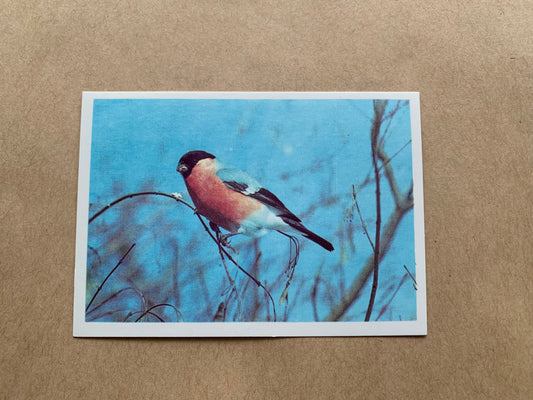Soviet-time pocket calendar for the year 1990 - Bird
