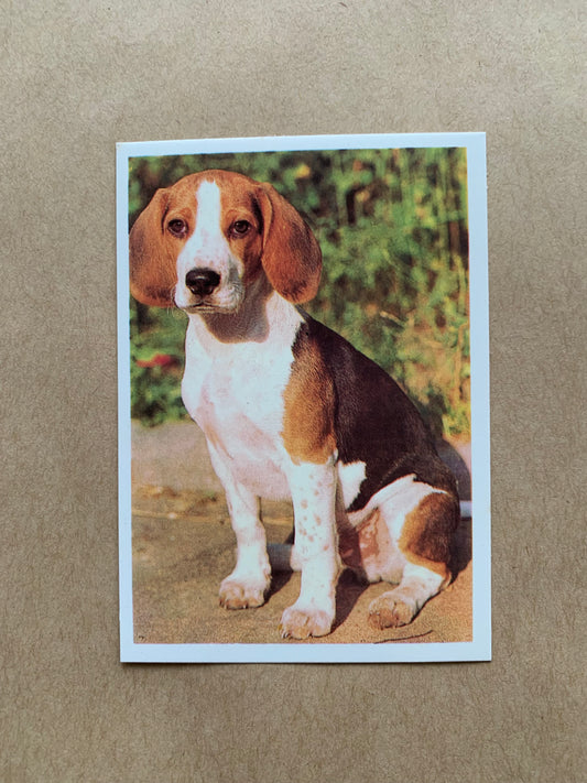 Soviet-time pocket calendar for the year 1990 - Dog