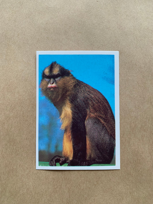 Soviet-time pocket calendar for the year 1990 - Monkey