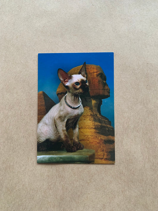 Russian pocket calendar for the year 2003 - Sphynx Cat