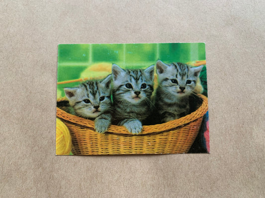 Estonian pocket calendar for the year 2000 - Cats