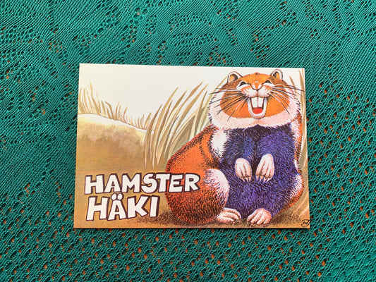 Estonian art postcard - Artist Raivo Järvi - Hamster Haki - 1982 - unused