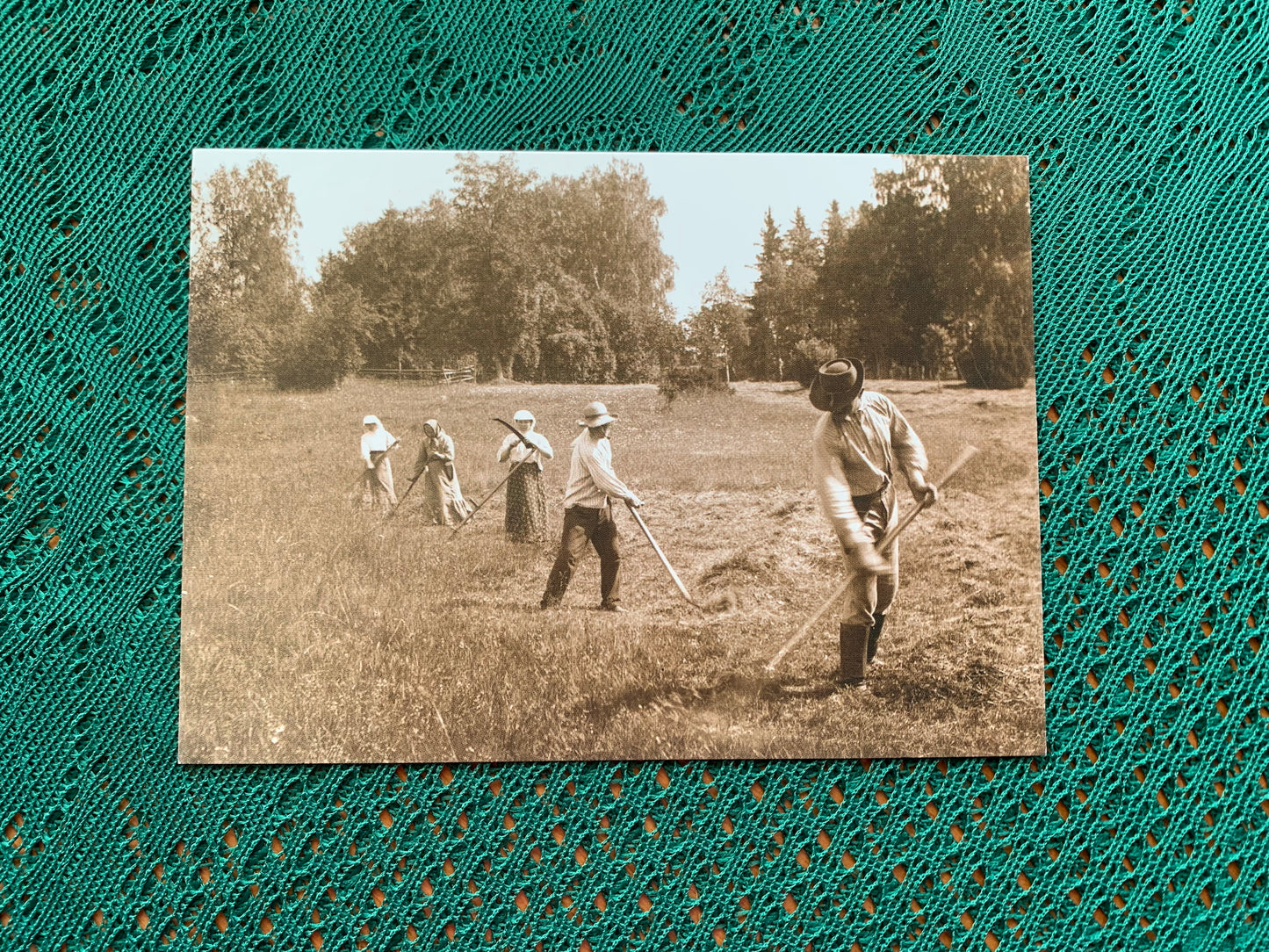 Estonian postcard - Reproduction from old postcards - Haymakers in Kolga coastal meadow - Original Photo by Johannes Pääsuke, 1913 - unused
