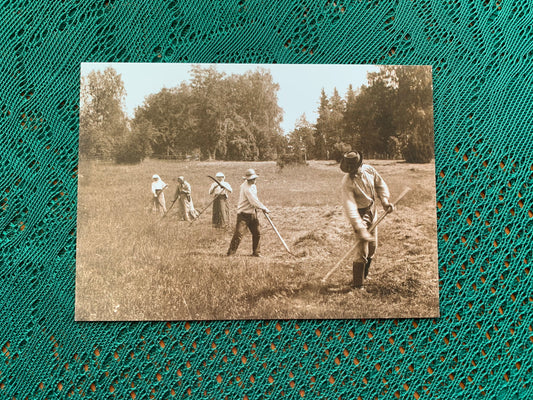 Estonian postcard - Reproduction from old postcards - Haymakers in Kolga coastal meadow - Original Photo by Johannes Pääsuke, 1913 - unused