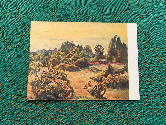 Soviet Russian art postcard - Artist Elmar Kits - Juniper - 1957 - unused