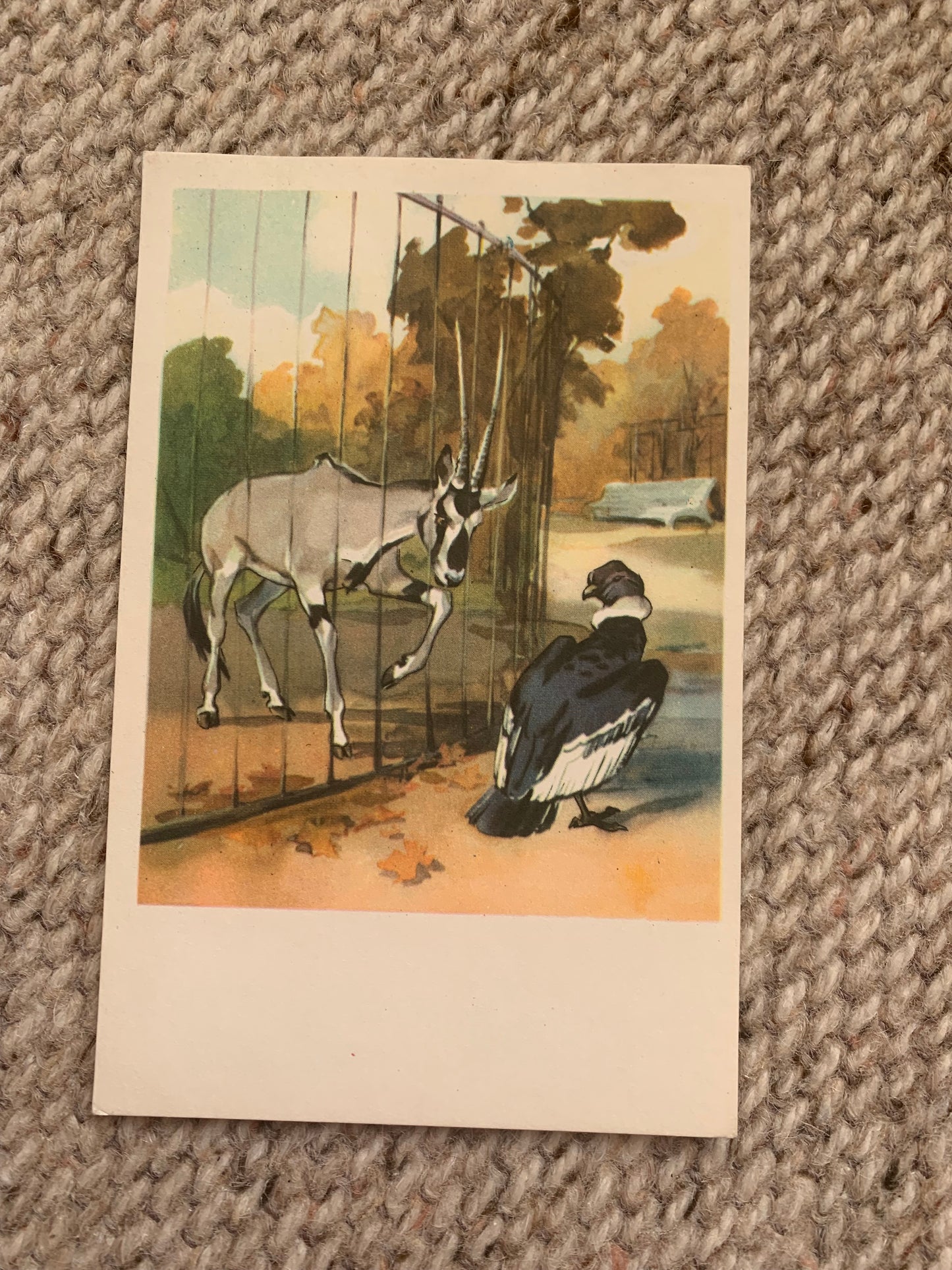 Russian art postcard - Artists N. Stroganova, M. Alekseev - Eagle - Goat - Animal postcard - Printed in USSR - 1969 - unused