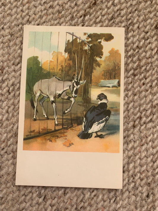 Russian art postcard - Artists N. Stroganova, M. Alekseev - Eagle - Goat - Animal postcard - Printed in USSR - 1969 - unused