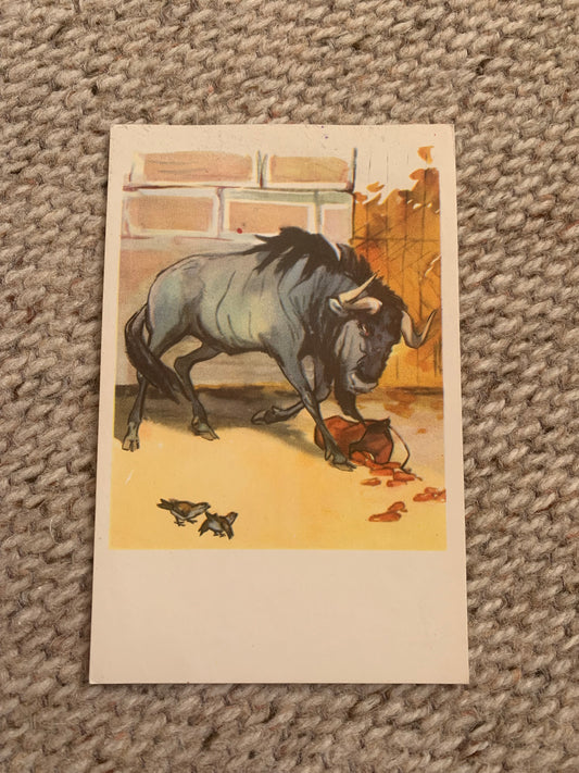 Russian art postcard - Artists N. Stroganova, M. Alekseev - Bull - Animal postcard - Printed in USSR - 1969 - unused