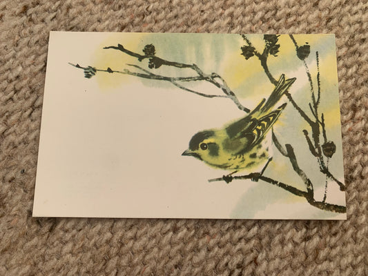 Russian art postcard - Bird postcard - Eurasian siskin - Artist V. Kanevsky - Printed in USSR - 1977 - unused