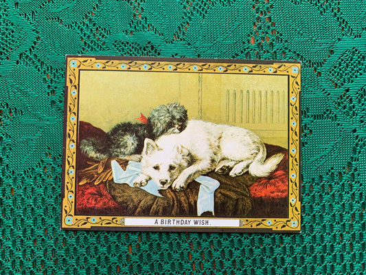 Vintage Chimera art postcard - Produced in UK - Two dogs - Unused Greeting card